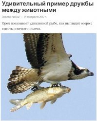 20 сильных фотографий, возвращающих веру в человечество, которые стоит увидеть каждому