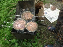 Владик , о.Рейнеке .