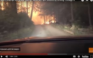 В этот то и дело, что когда подходишь к огненной стене надо попытаться подумать головой, а не паникующей жопой. 
Ехать по огню, непонятно сколько, не видя финиша - слабоумие и отвага. 
Машина - груда пластика и бензина, ничего лучше не придумаешь, чтобы на этом пробиваться сквозь огненную стену. 
А самое главное от озера, от воды. На берегу гораздо больше шансов, что тебя увидят спасатели, чем в задымленном лесу. Вдоль озера гарантировано можно обойти пожар, что не скажешь по поводу горящей дороги. 
То что они спаслись - это тупое везение, как говорится "вопреки здравому смыслу". 
На первом фото - момент когда надо было разворачиваться к озеру. 
На втором фото видно поваленные огнем деревья, тупо повезло что они упали от дороги, а не на дорогу. Если бы хоть одно упало на дорогу, они бы оказались в огненной ловушке, и тогда бы оставалось ехать по задымленному лесу задом и молится чтобы еще одно дерево не упало, чтобы колеса не лопнули, чтобы не задохнулись... 
А на берегу можно было просто намочить одежду, намочить  тряпку и закрыть лицо чтобы не дышать дымом и спокойно ждать спасателей на лодках.