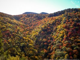 Фото из LJ   ,  фото   83.

Вот здесь можно взять полноразмер 1600x1200:

 (справа внизу стрелка вниз "Download this photo", там разные размеры)