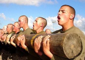 Веселые картинки