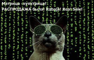 55 случаев, когда произошел сбой в матрице