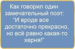 На Западе пришли в восторг от насмешек русских над Илоном Маском