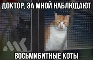 Картинки с надписями для настроения