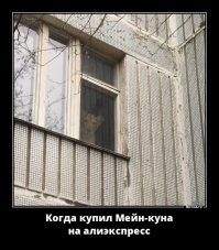 18 по-настоящему редких зверушек, о которых вы наверняка даже не слышали