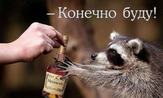 "Большой енот" в Лиссабоне
