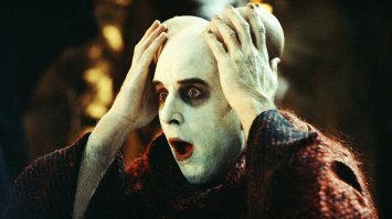 Фотоподборка за 24.08.2018