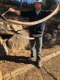 Укротил своего удава))