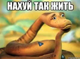 Змеелов пять часов сражался со смертоносной рептилией и победил