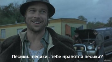 От печали до радости: пес по кличке Бекон с выразительной мимикой