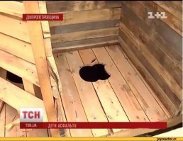 Мир полон удивительного: самые необычные сортиры