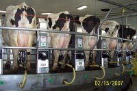 20+ смешных доказательств того, что реальности плевать на наши ожидания