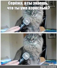 Когда сынуле 40 лет, а совести всё нет