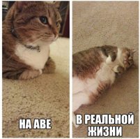 20+ смешных доказательств того, что реальности плевать на наши ожидания