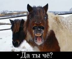 В Сибири раскопали отлично сохранившиеся останки лошади возрастом 40 тысяч лет