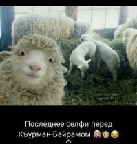 В России снова дали срок за слова