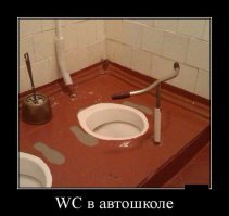 Мир полон удивительного: самые необычные сортиры