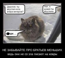 Забывчивость и ее неожиданные забавные последствия