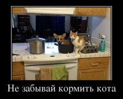 Забывчивость и ее неожиданные забавные последствия
