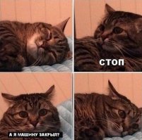 Забывчивость и ее неожиданные забавные последствия