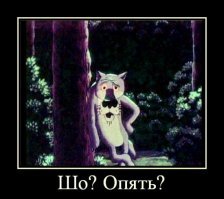 каждую неделю?