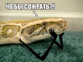 Конкурс на самую смешную картинку про ползучих гадов