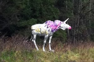 Лось в Зеленограде, на Ленинградском шоссе:)