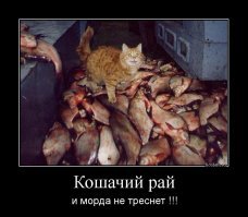 Подборка демотиваторов для хорошего настроения