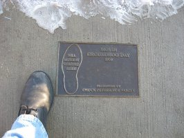 Билл Мюррей ступал сюда