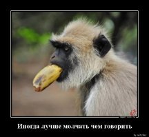 Две старые перечницы.
И это как раз тот случай, когда...