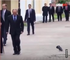 Подборка интернет юмора