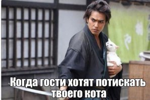 Подражая котоматрице