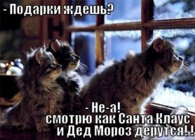 Подражая котоматрице