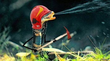 Тоже решил порисовать. Как вам змея-пожарный?