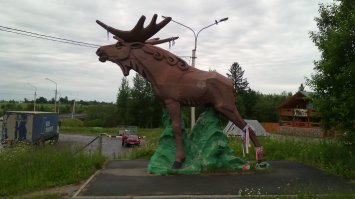 Лось и интересные факты о нем