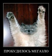 Подражая котоматрице
