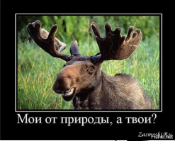 Он просто сидит: мужчина застал свою жену с любовником