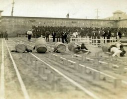 американская демократия: негры в бочках
