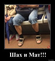 Вот их хозяин