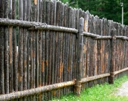 Забавные комментарии из социальных сетей