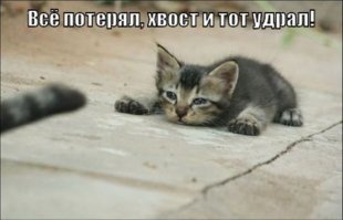 Подражая котоматрице