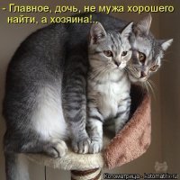 Подражая котоматрице