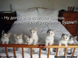 Подражая котоматрице
