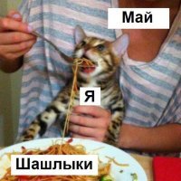 Подражая котоматрице