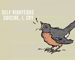 Забавные комментарии из социальных сетей