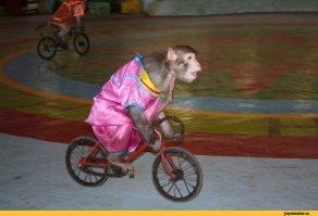 пфф... сути не меняет.