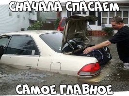 А что? Вполне логично. Машинке уже и так  пи... то есть тотал лост, а вот колонки дорогие и пока еще сухие надо спасти...