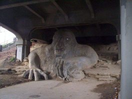 Фотоподборка за 27.08.2018