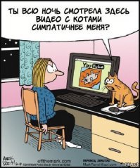 Подражая котоматрице