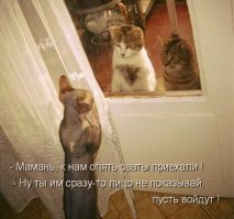 а это уже трагедия